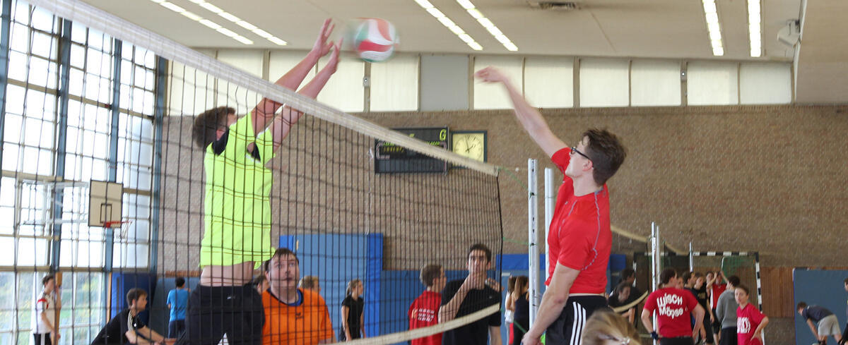 Volleyballer in Action