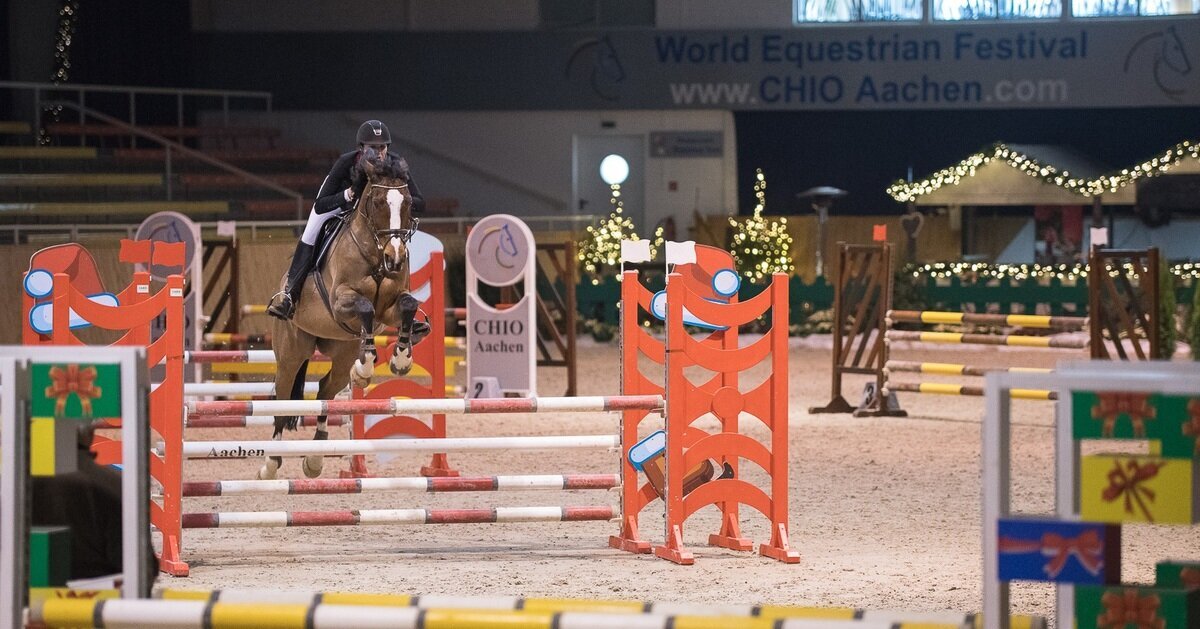 Pferd mit Reiter in einer Halle