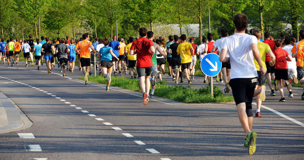 Ansicht der Cardiogeräte