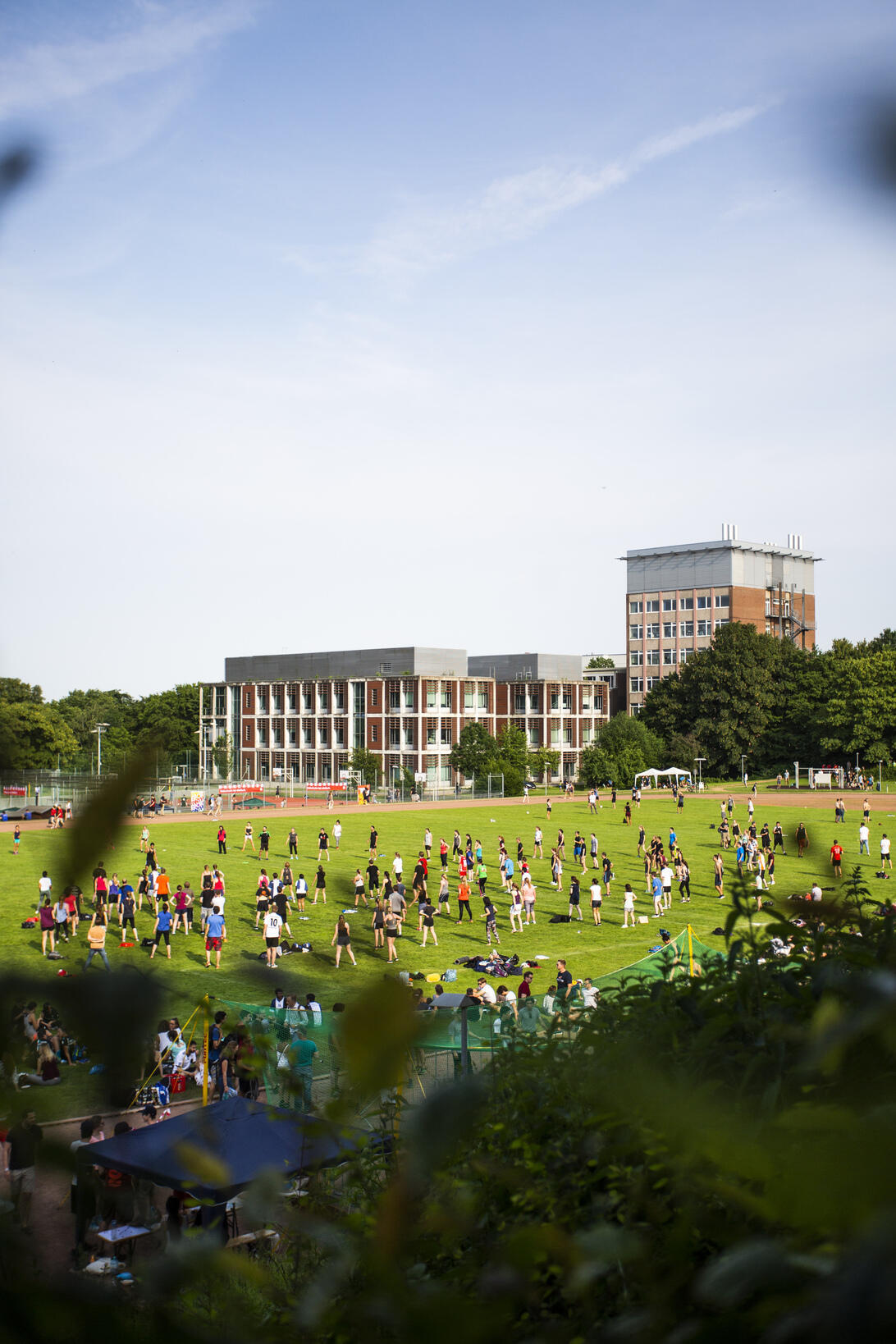 viele Menschen auf dem Rasen