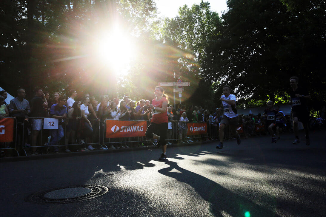 Fans an der Bande und die Sonne, die durch die Bäume strahlt