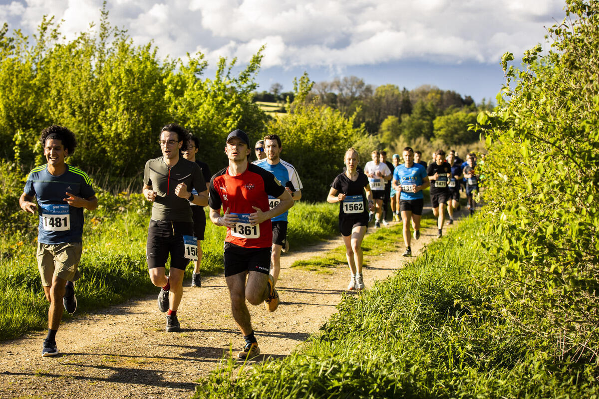 Personen beim Lauf im Grünen